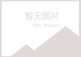 尖山区无果建设有限公司